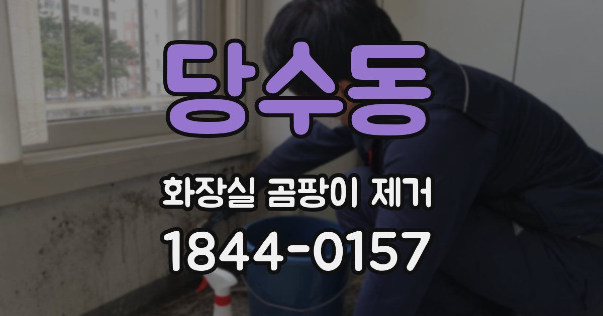 당수동 화장실 곰팡이 제거