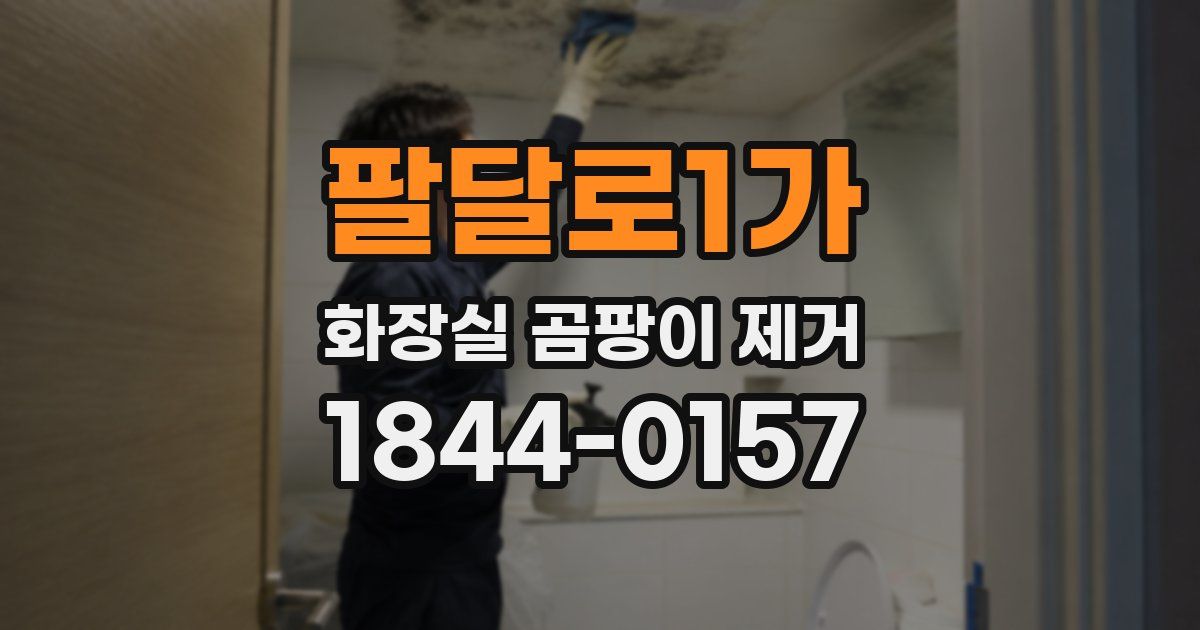 팔달로1가 화장실 곰팡이 제거