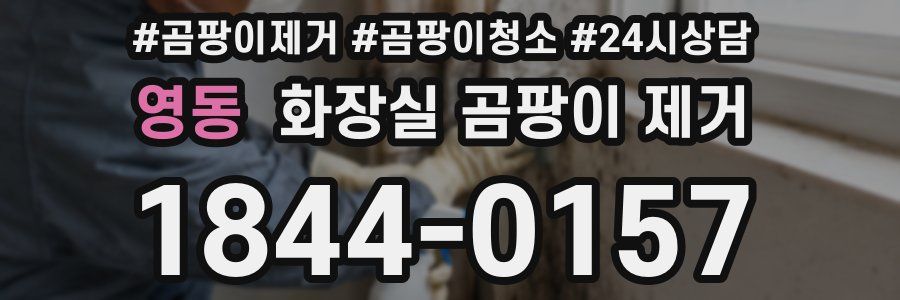영동 화장실 곰팡이 제거