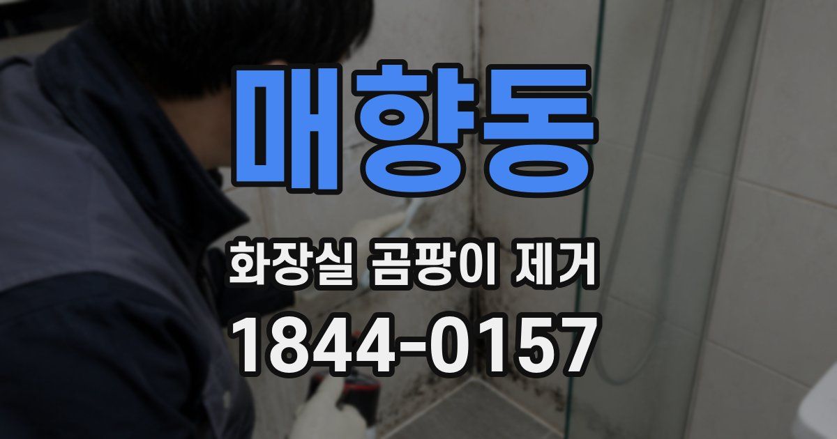 매향동 화장실 곰팡이 제거