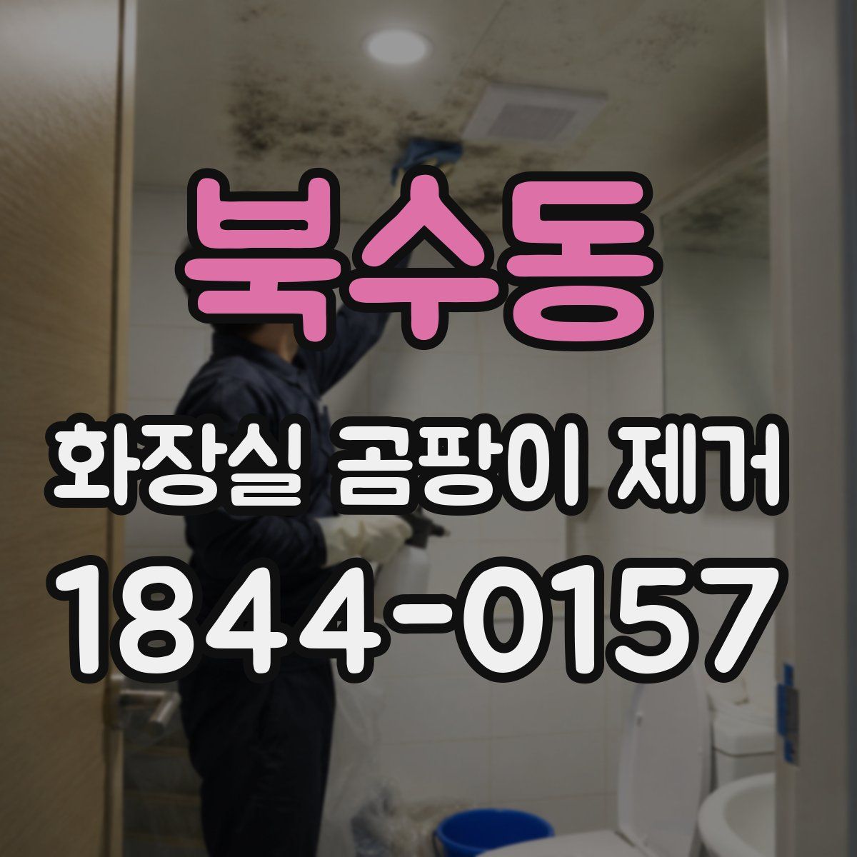 북수동 화장실 곰팡이 제거