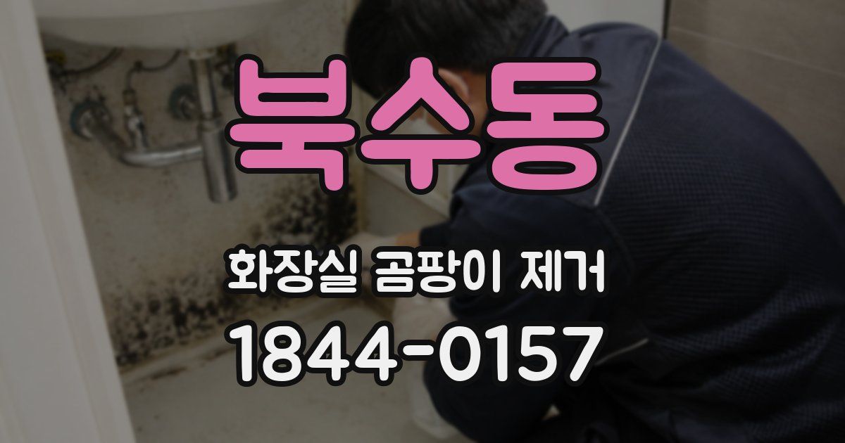 북수동 화장실 곰팡이 제거
