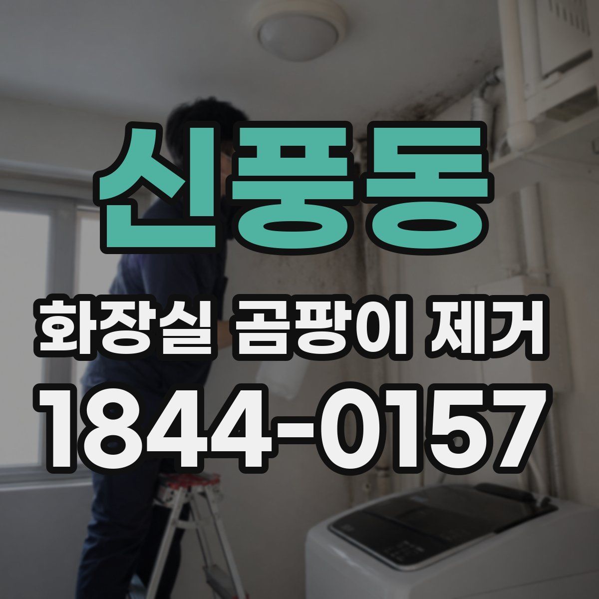 신풍동 화장실 곰팡이 제거