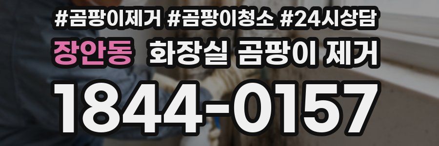 장안동 화장실 곰팡이 제거