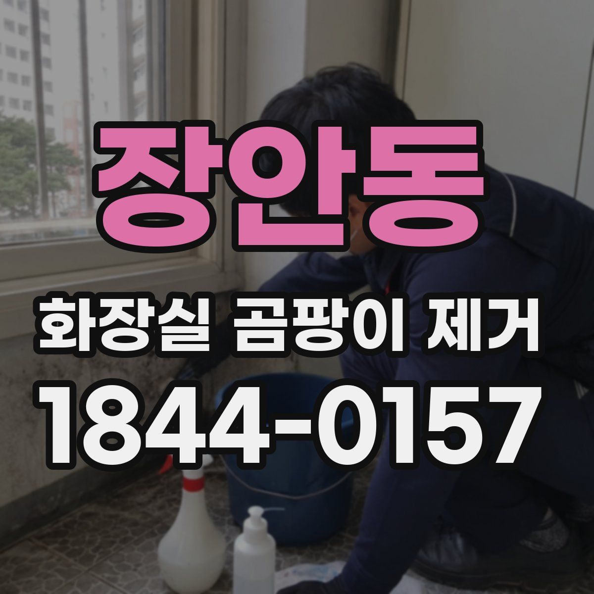 장안동 화장실 곰팡이 제거