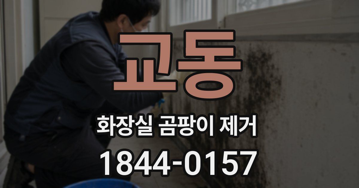 교동 화장실 곰팡이 제거