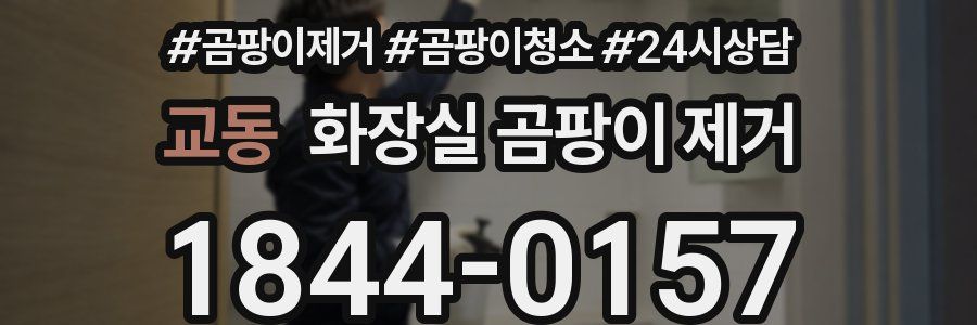 교동 화장실 곰팡이 제거