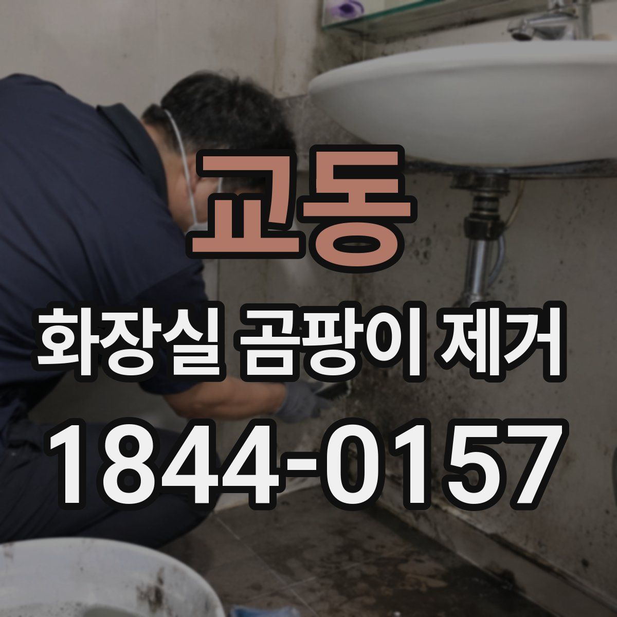 교동 화장실 곰팡이 제거