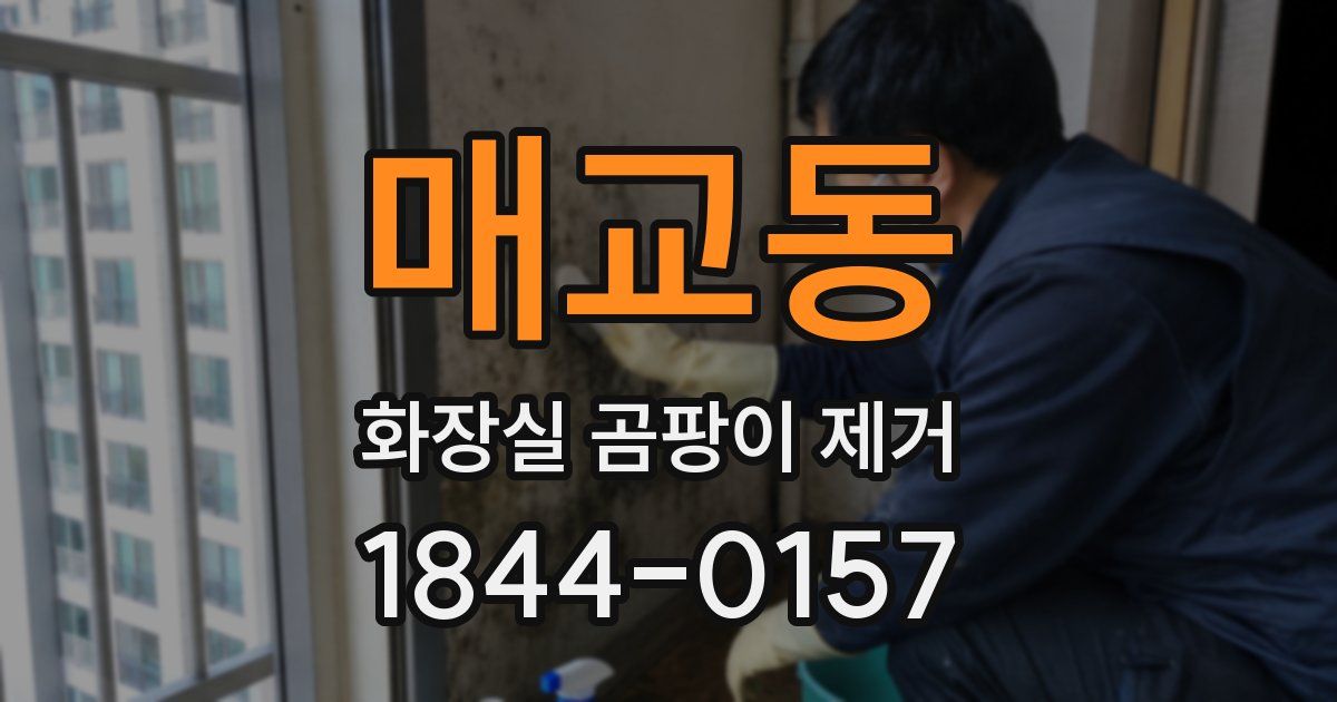 매교동 화장실 곰팡이 제거