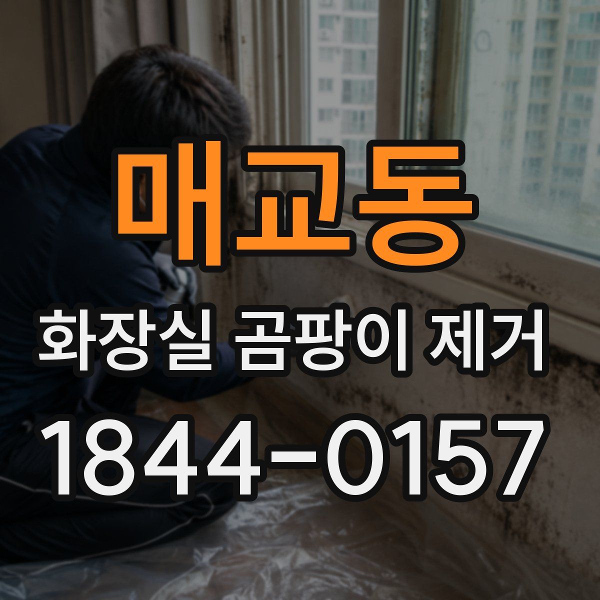 매교동 화장실 곰팡이 제거