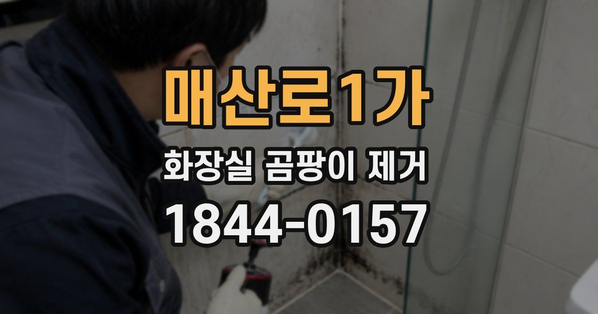매산로1가 화장실 곰팡이 제거
