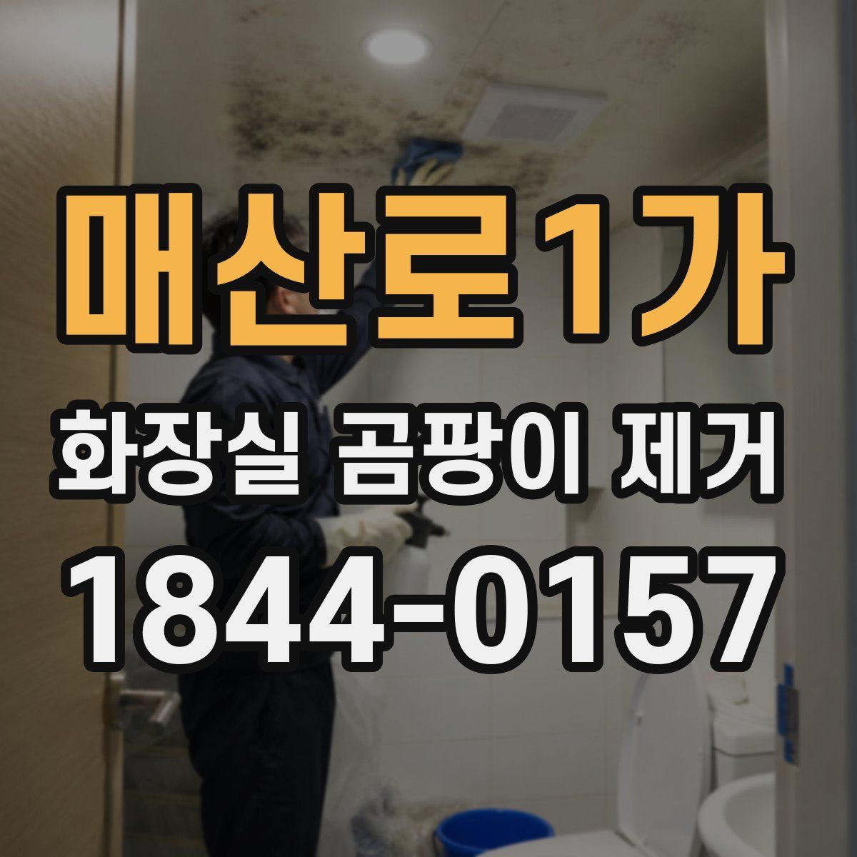 매산로1가 화장실 곰팡이 제거