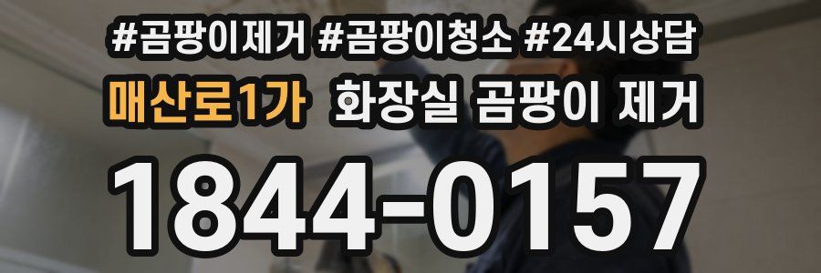 매산로1가 화장실 곰팡이 제거