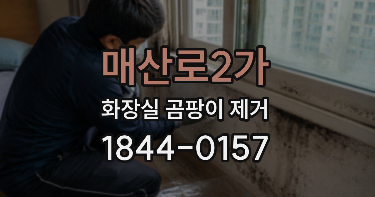 매산로2가 화장실 곰팡이 제거
