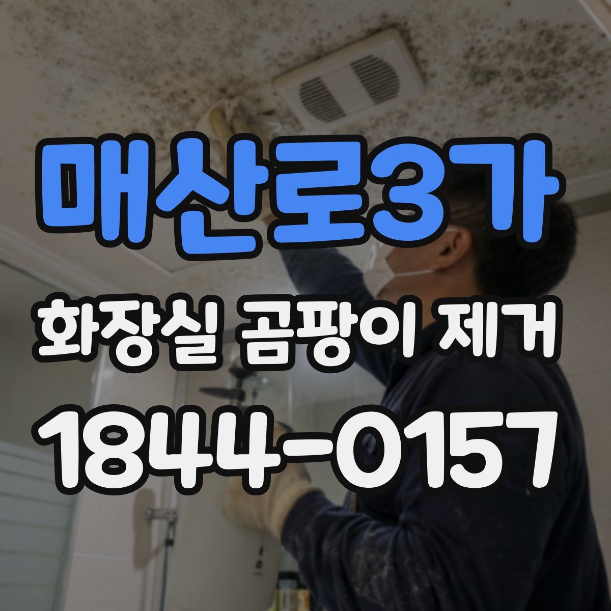 매산로3가 화장실 곰팡이 제거