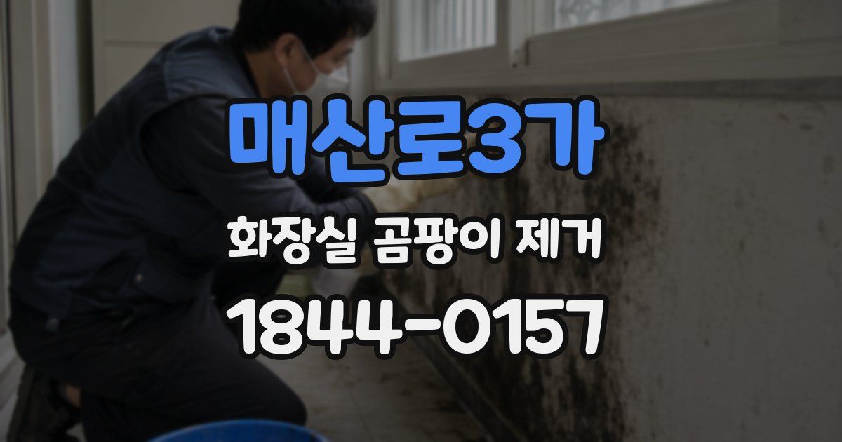 매산로3가 화장실 곰팡이 제거