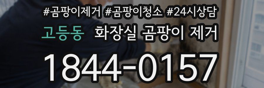 고등동 화장실 곰팡이 제거