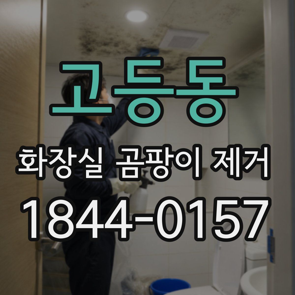 고등동 화장실 곰팡이 제거