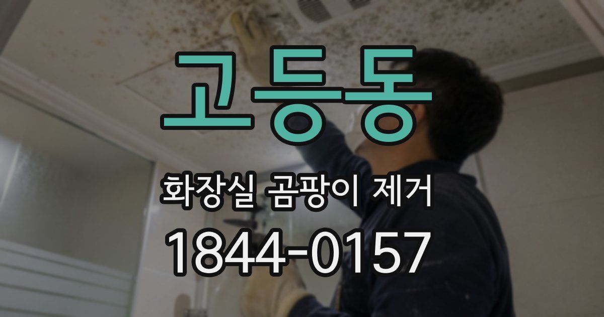 고등동 화장실 곰팡이 제거