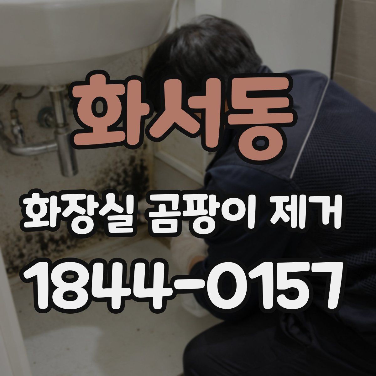 화서동 화장실 곰팡이 제거 벽면 변색이 환기 문제인지 살피는 방법