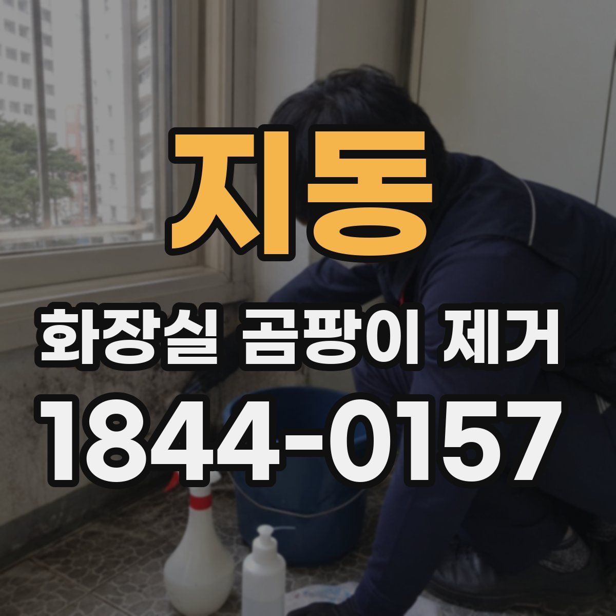 지동 화장실 곰팡이 제거