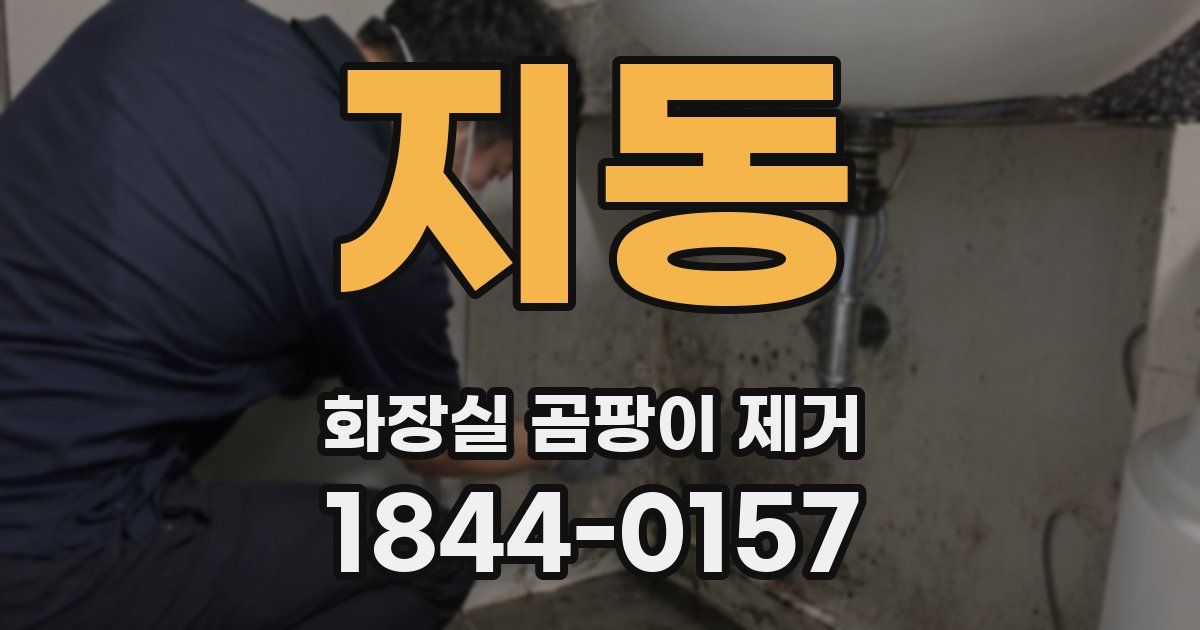 지동 화장실 곰팡이 제거