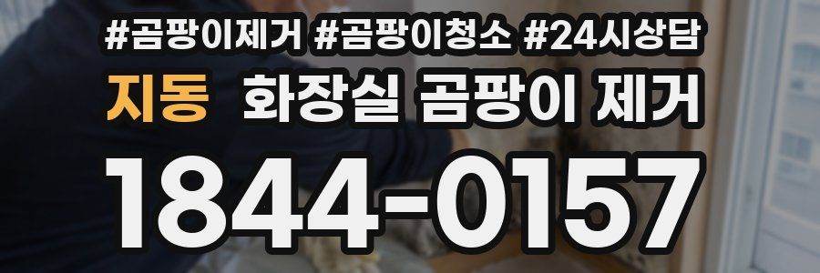 지동 화장실 곰팡이 제거