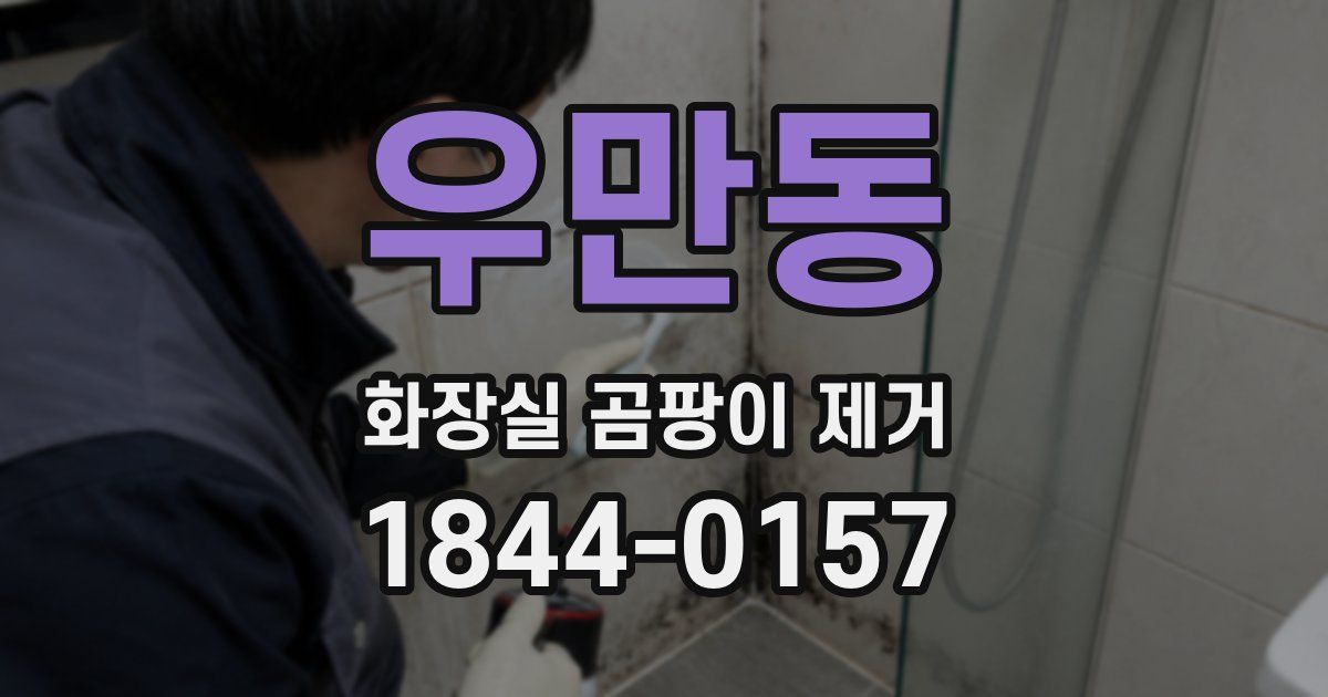 우만동 화장실 곰팡이 제거