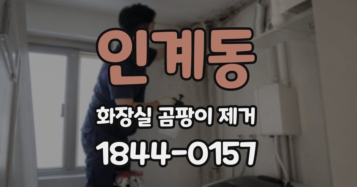 인계동 화장실 곰팡이 제거