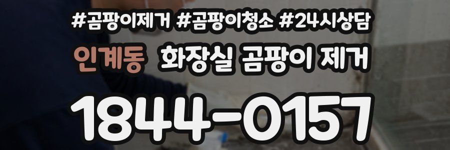 인계동 화장실 곰팡이 제거