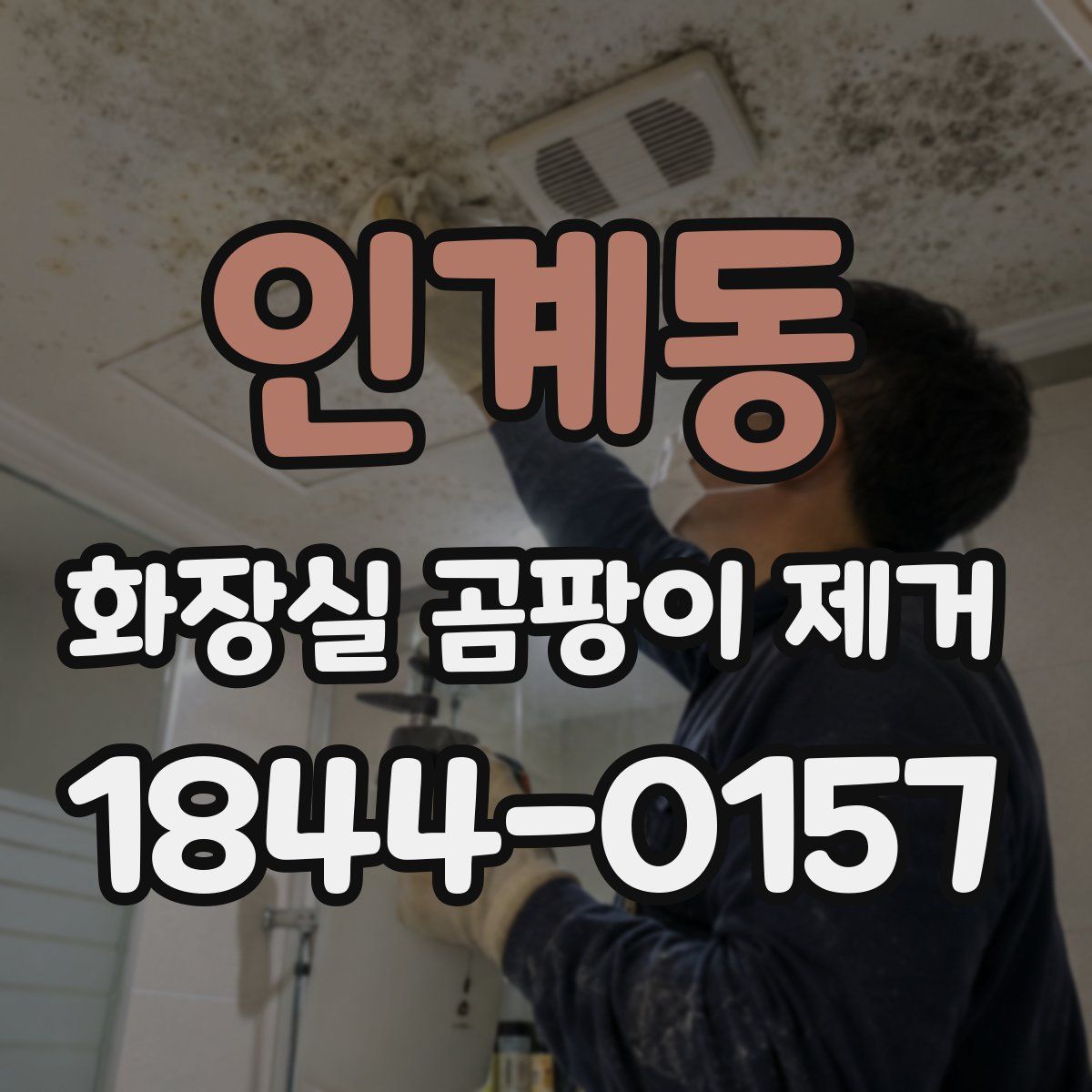 인계동 화장실 곰팡이 제거