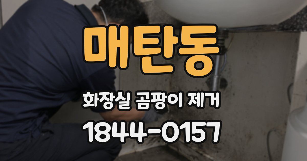 매탄동 화장실 곰팡이 제거