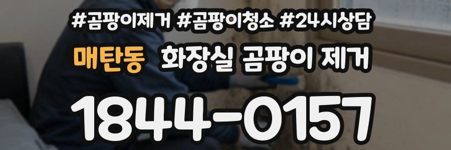 매탄동 화장실 곰팡이 제거
