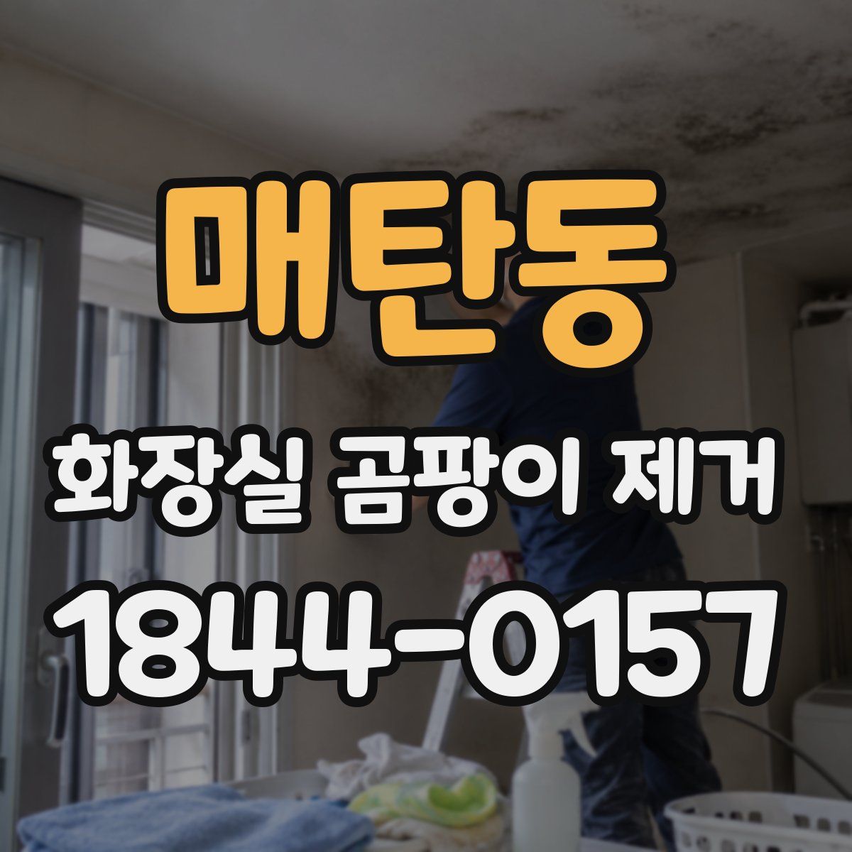 매탄동 화장실 곰팡이 제거