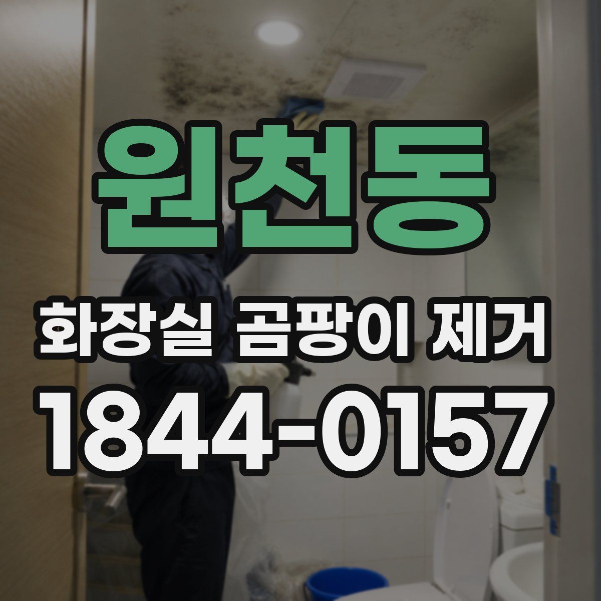 원천동 화장실 곰팡이 제거