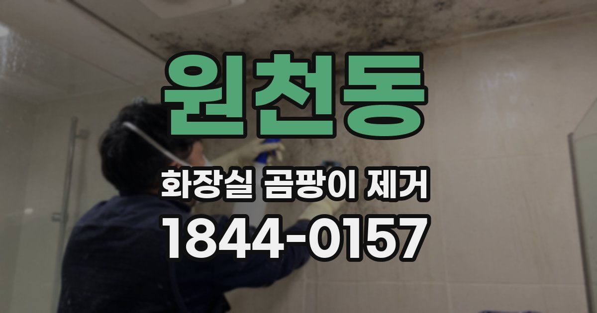 원천동 화장실 곰팡이 제거
