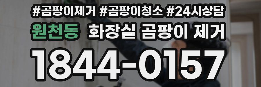 원천동 화장실 곰팡이 제거