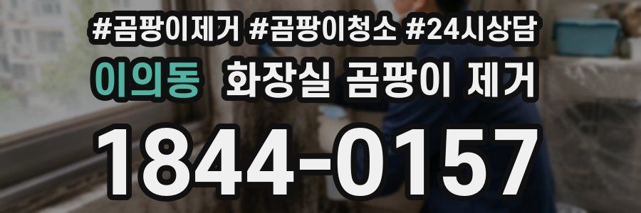 이의동 화장실 곰팡이 제거