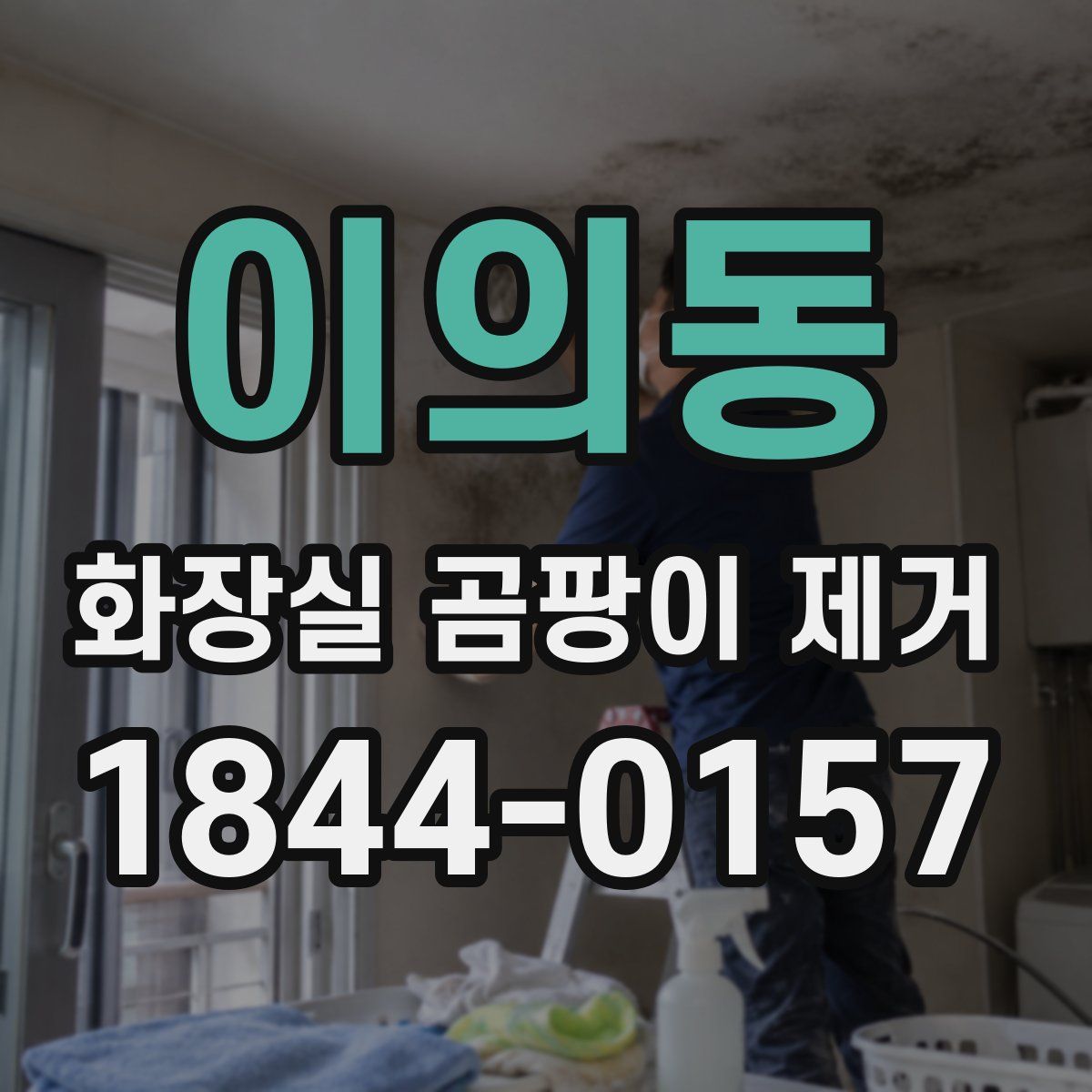 이의동 화장실 곰팡이 제거