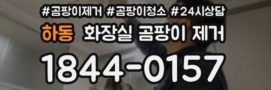 하동 화장실 곰팡이 제거
