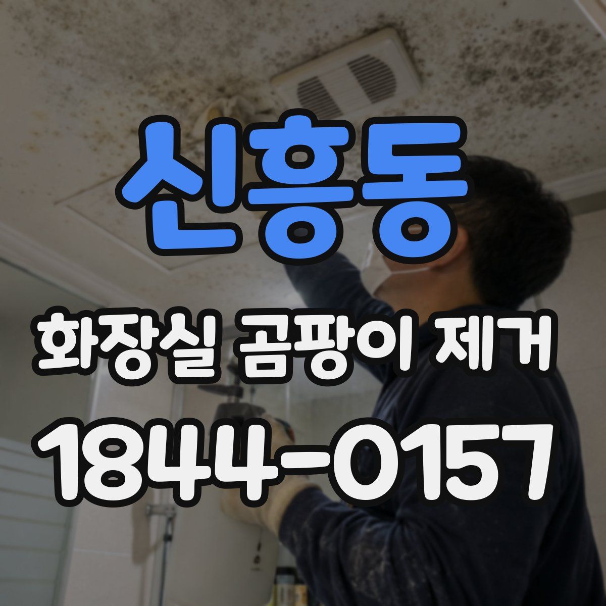 신흥동 화장실 곰팡이 제거