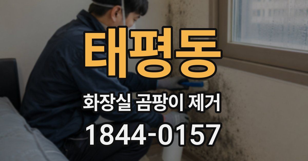태평동 화장실 곰팡이 제거