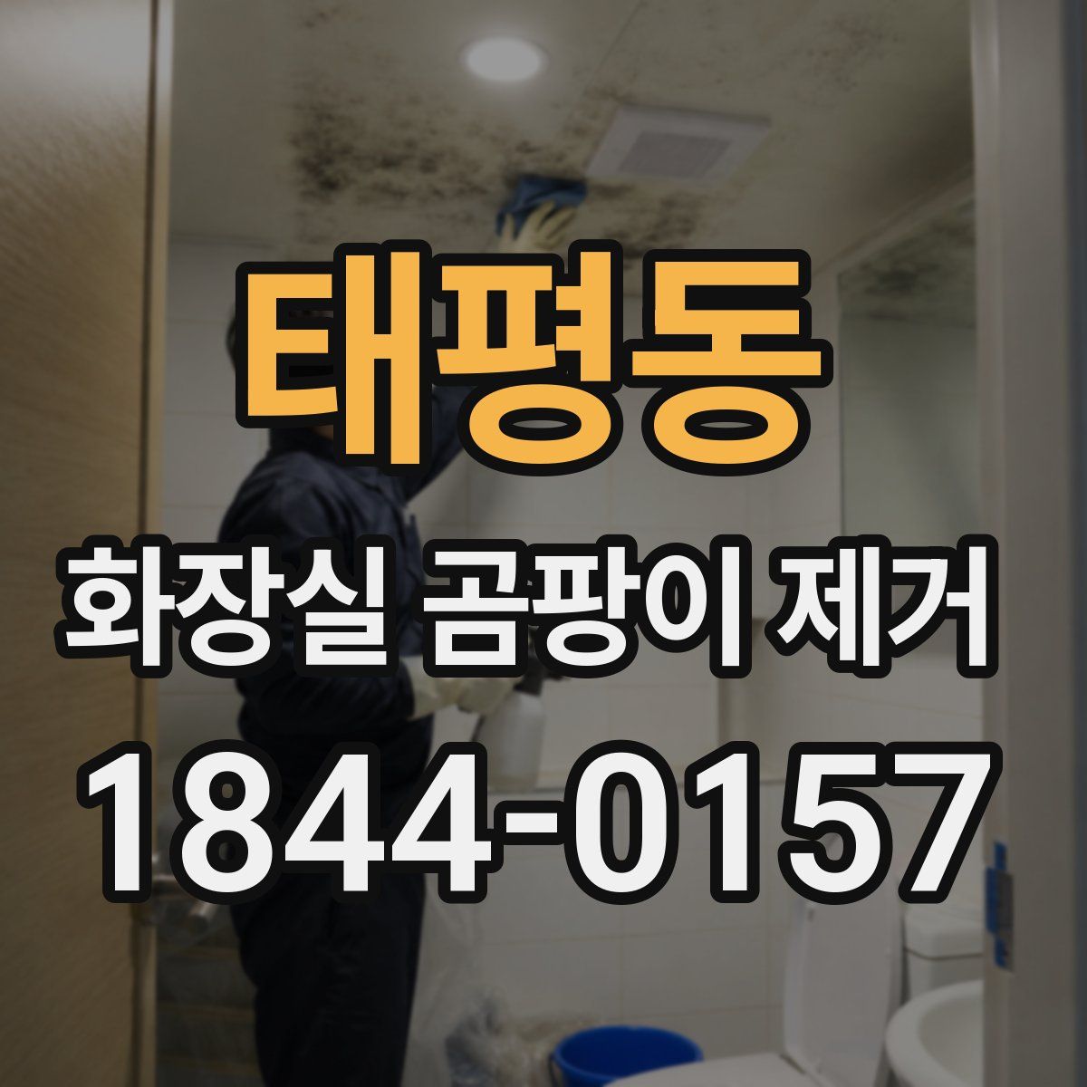 태평동 화장실 곰팡이 제거