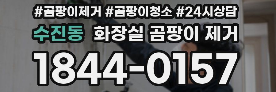 수진동 화장실 곰팡이 제거