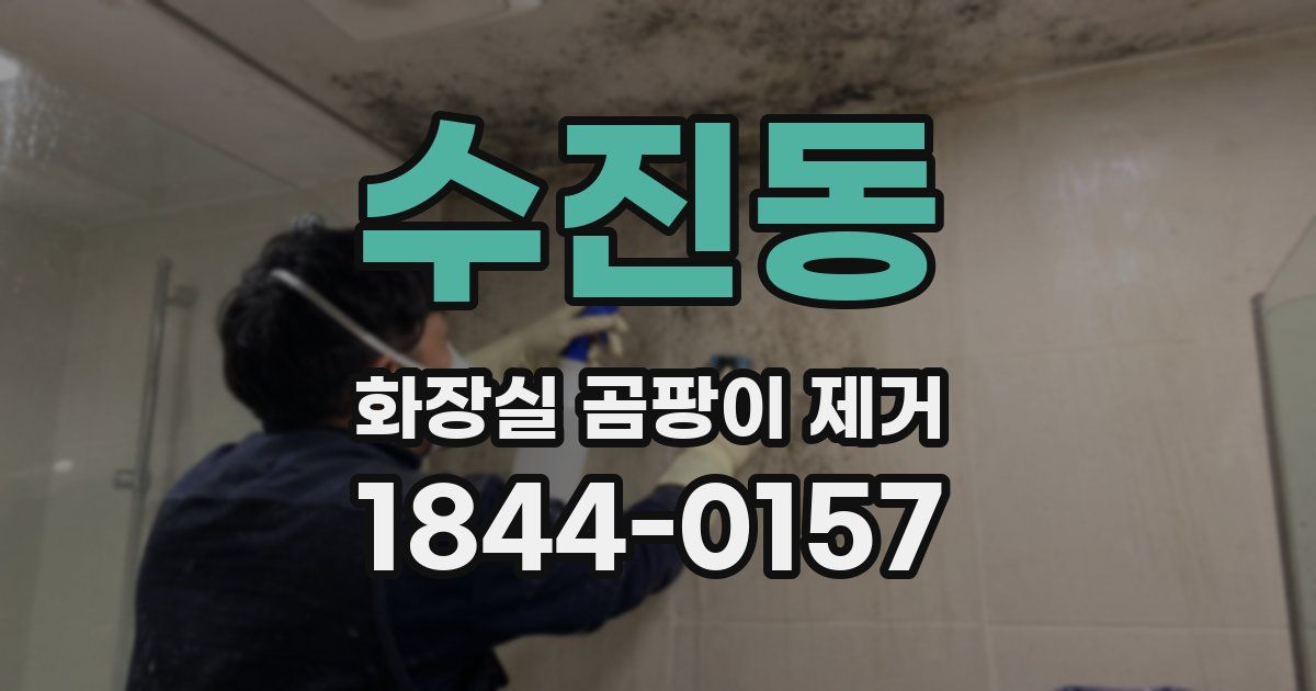 수진동 화장실 곰팡이 제거