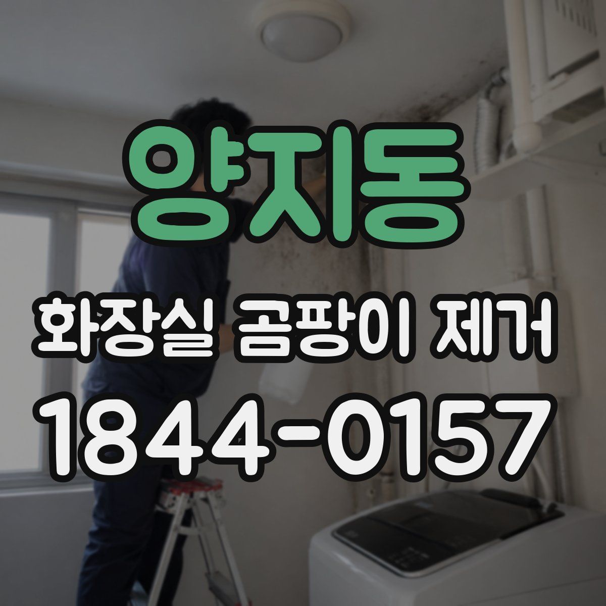 양지동 화장실 곰팡이 제거