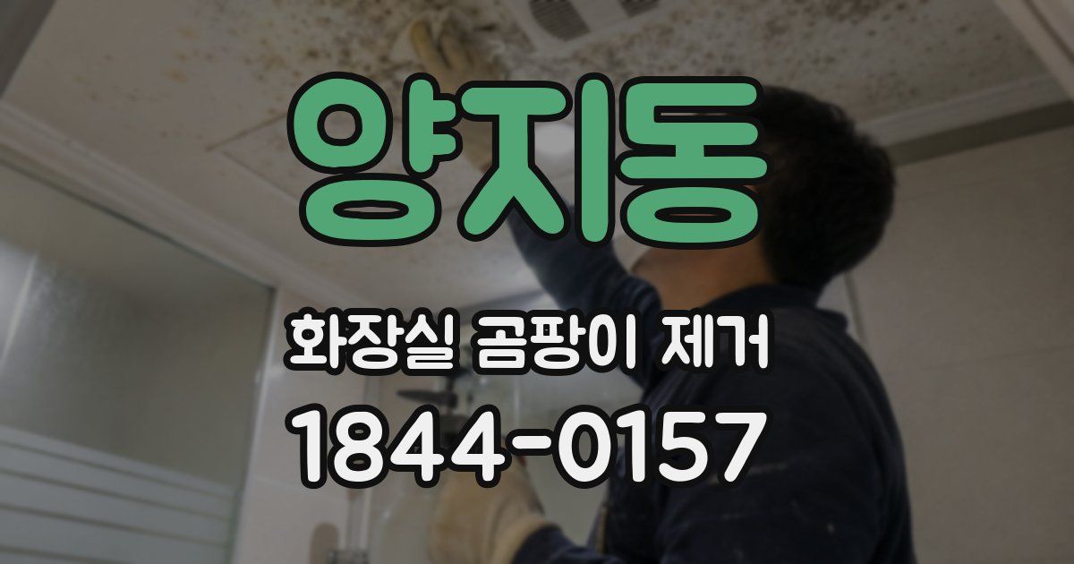 양지동 화장실 곰팡이 제거