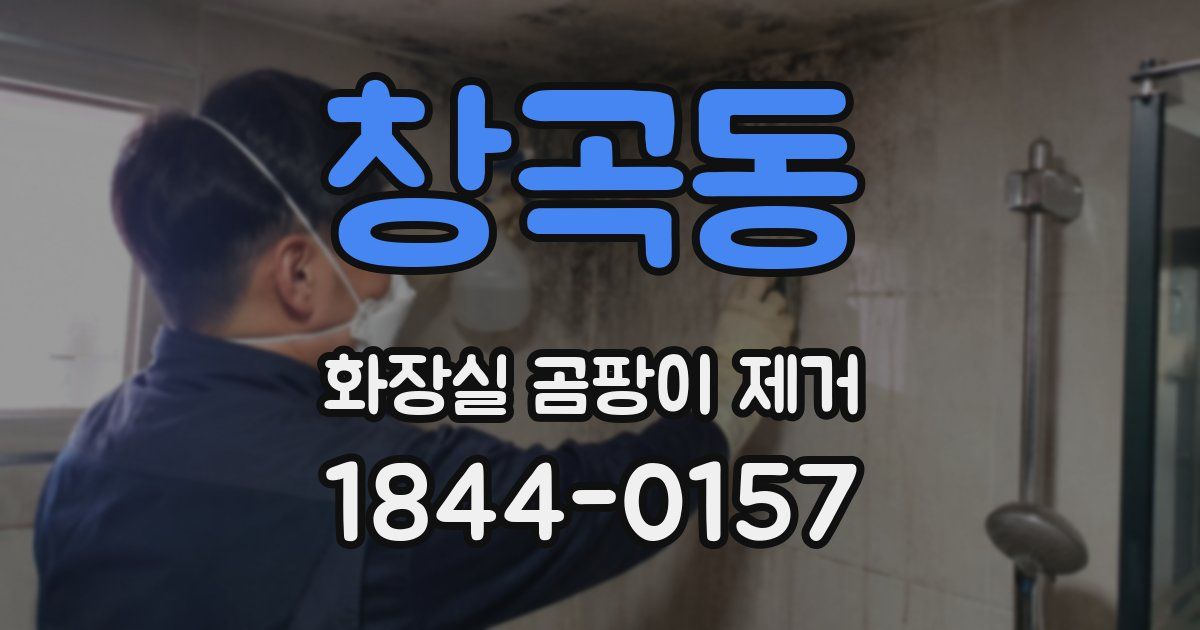창곡동 화장실 곰팡이 제거