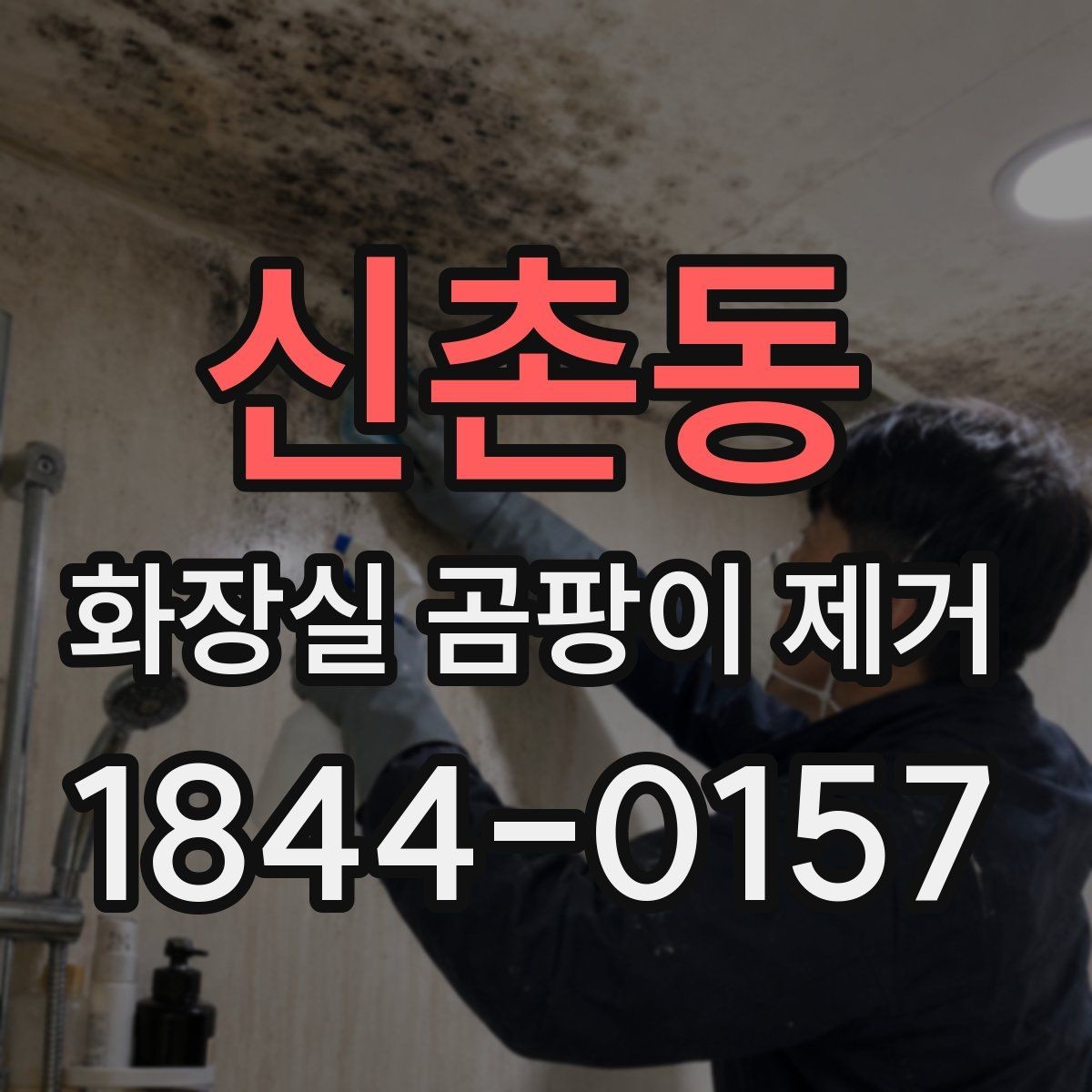 신촌동 화장실 곰팡이 제거 가정용 제품으로 가능한 범위 정리