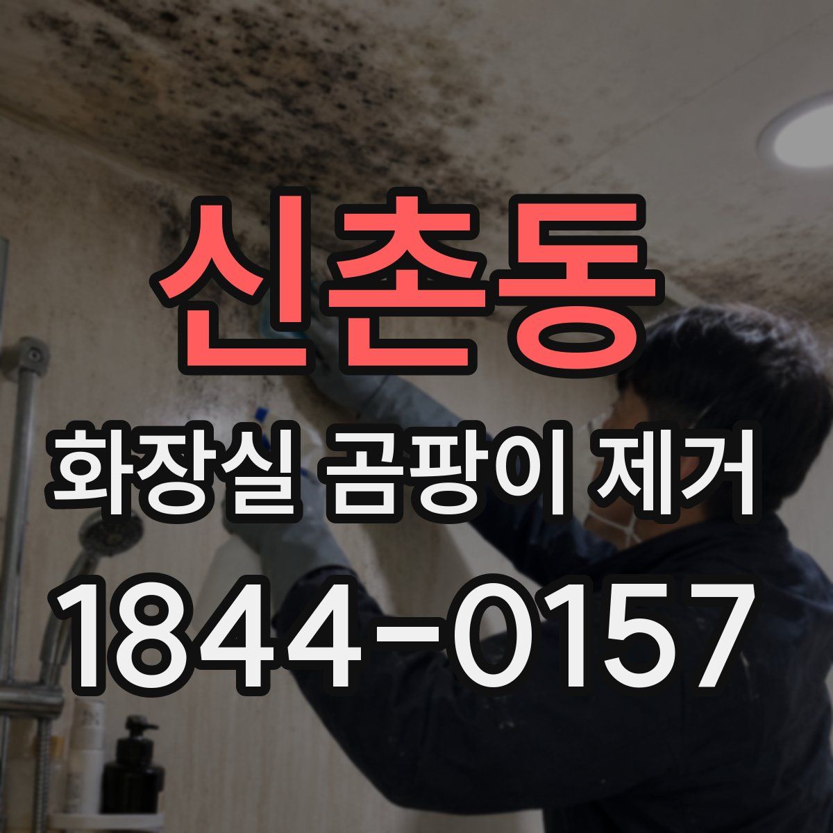신촌동 화장실 곰팡이 제거